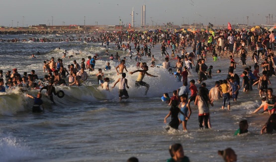 تعرف على الشواطئ الصالحة للسباحة في قطاع غزة 